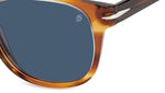 DB 1062/S Brown Horn Blue