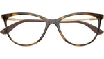 VO5239 W656 tortoise