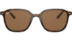 Leonard RB2193 tortoise classic polar
