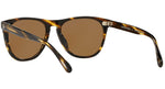 Daddy B. OV5091SM cocobolo