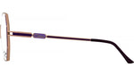 Model 4312 004