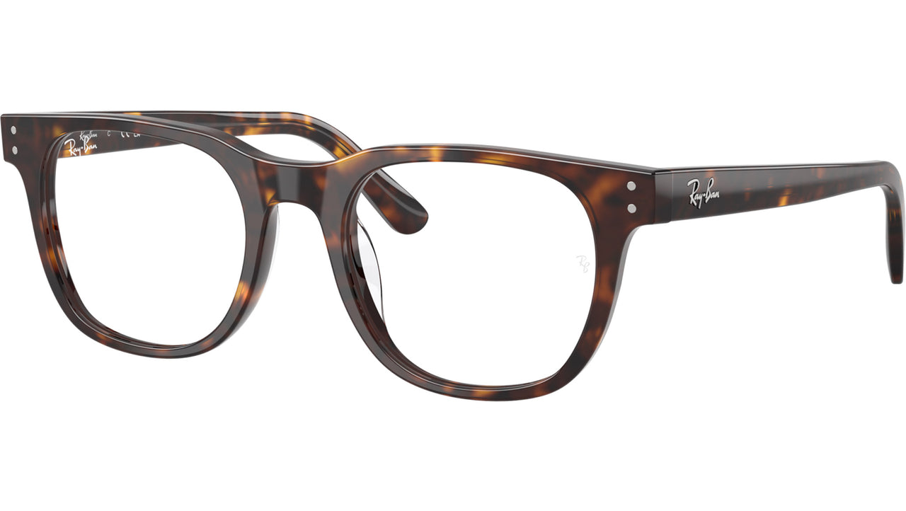 RB5461D Optics 2012