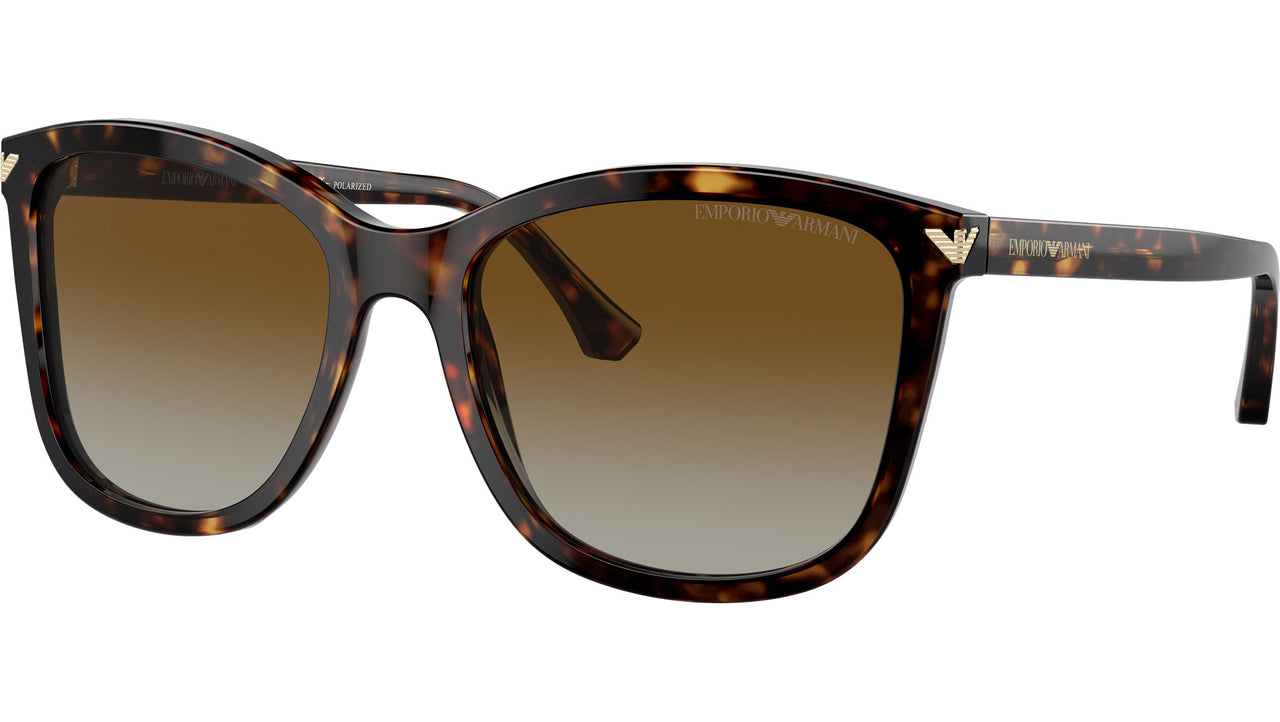 EA4060 5026T5 Tortoise