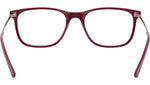 RB7244 Optics 8099