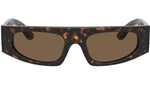 DG 4411 502/73 Tortoise Brown