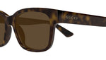 GG1716S 002