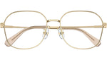 SK1009D 4013