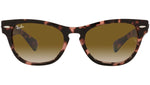 Laramie RB2201 133451 pink havana