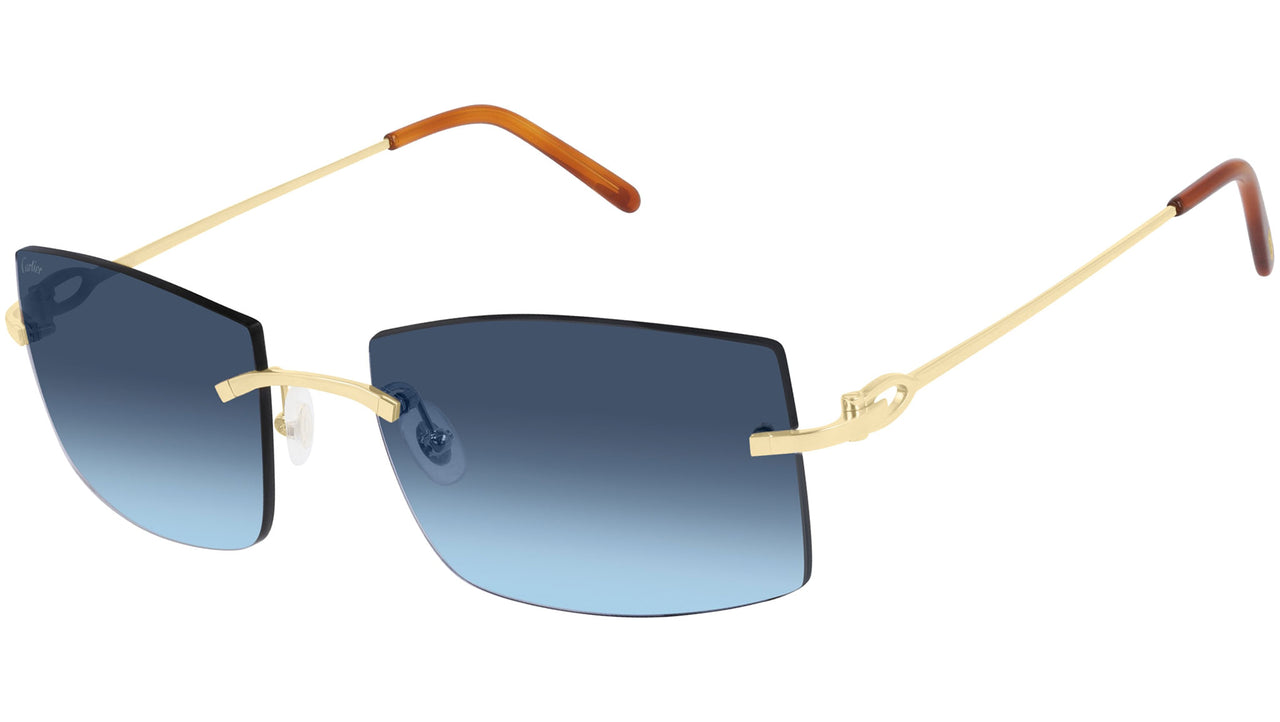 CT0005RS 001 shiny gold