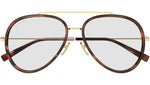GG1981S 006