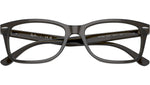 RB5428 Optics 8299