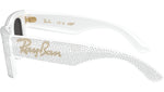 Wayfarer Puffer RB4940BP 686687