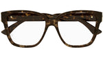 CT0451O 002 Tortoise