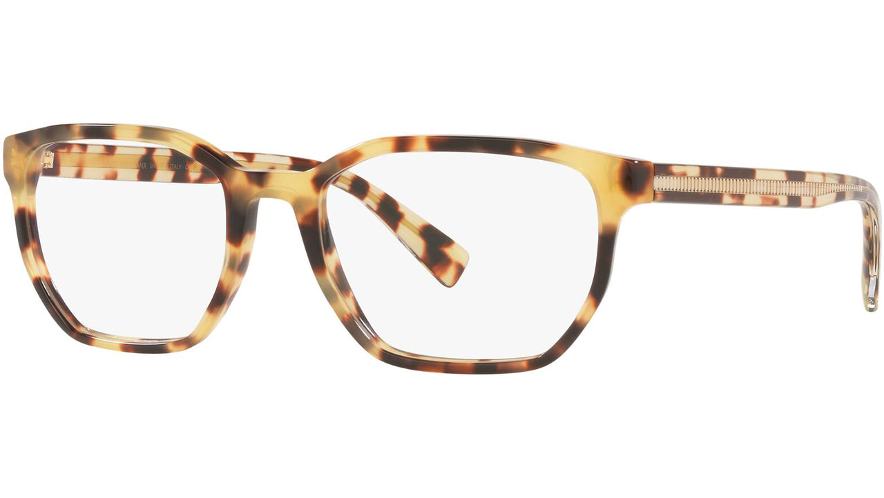 DG 3338 512 tortoise