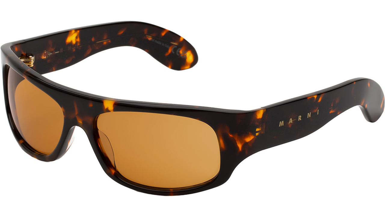 Uailus Burnt Havana