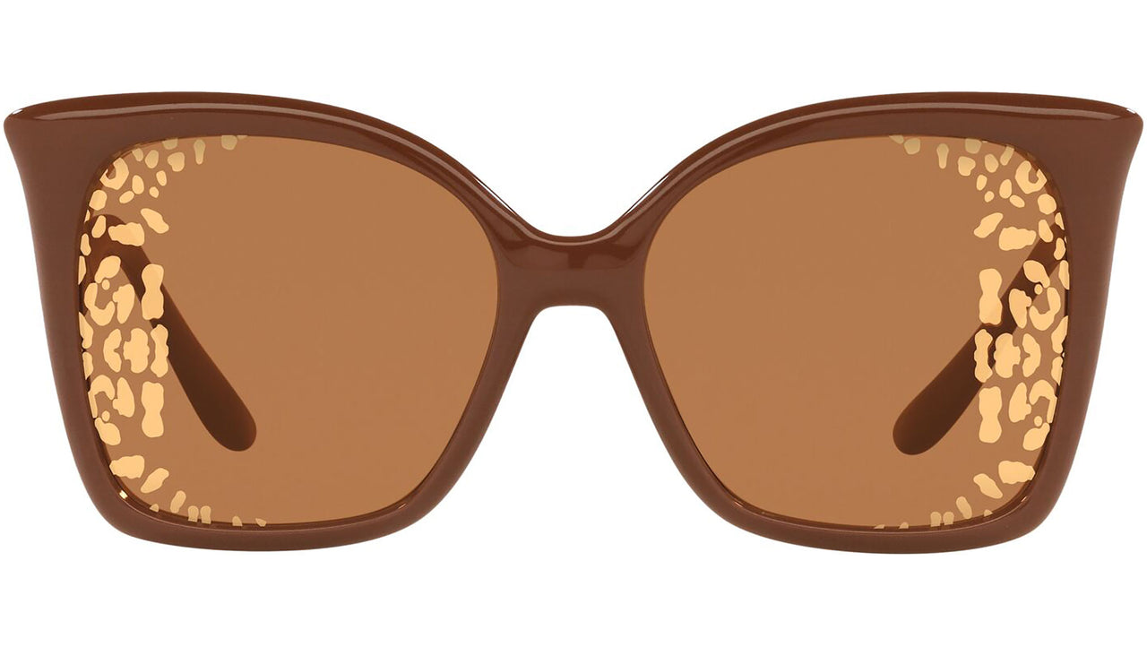 DG 6168 3292P4 brown