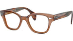 RB0880 Optics 8180