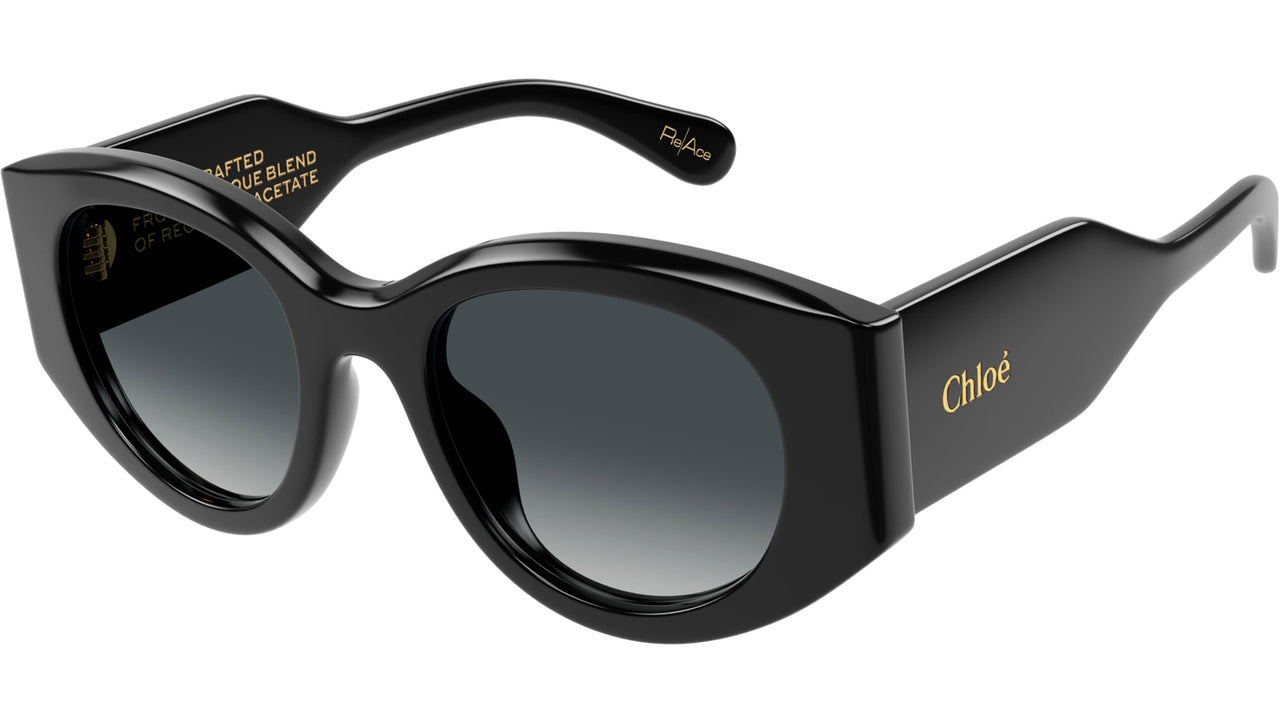 CH0251S 001