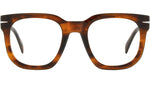 DB 7123 EX4 Brown Horn