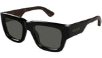 GG1668S 001