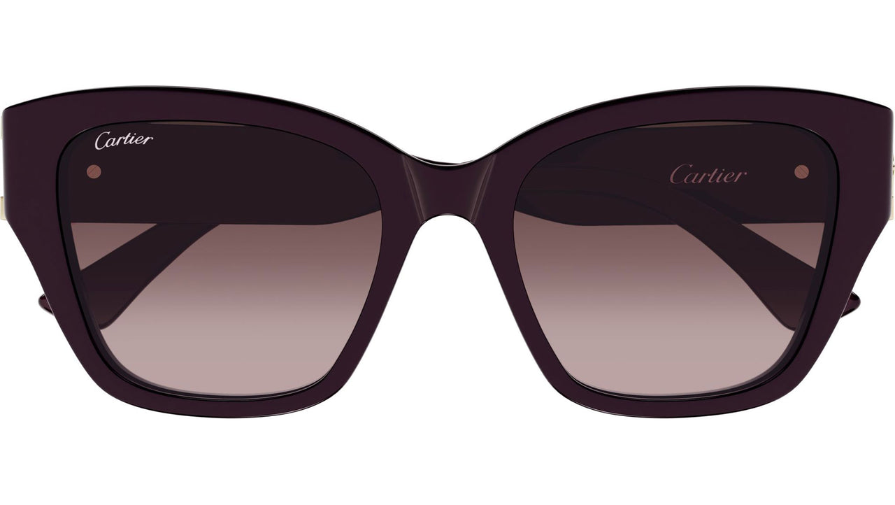 CT0666S 003