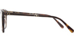 Getty II S Honu Tortoise