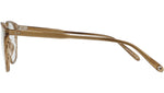 Kinney Palisade Tortoise