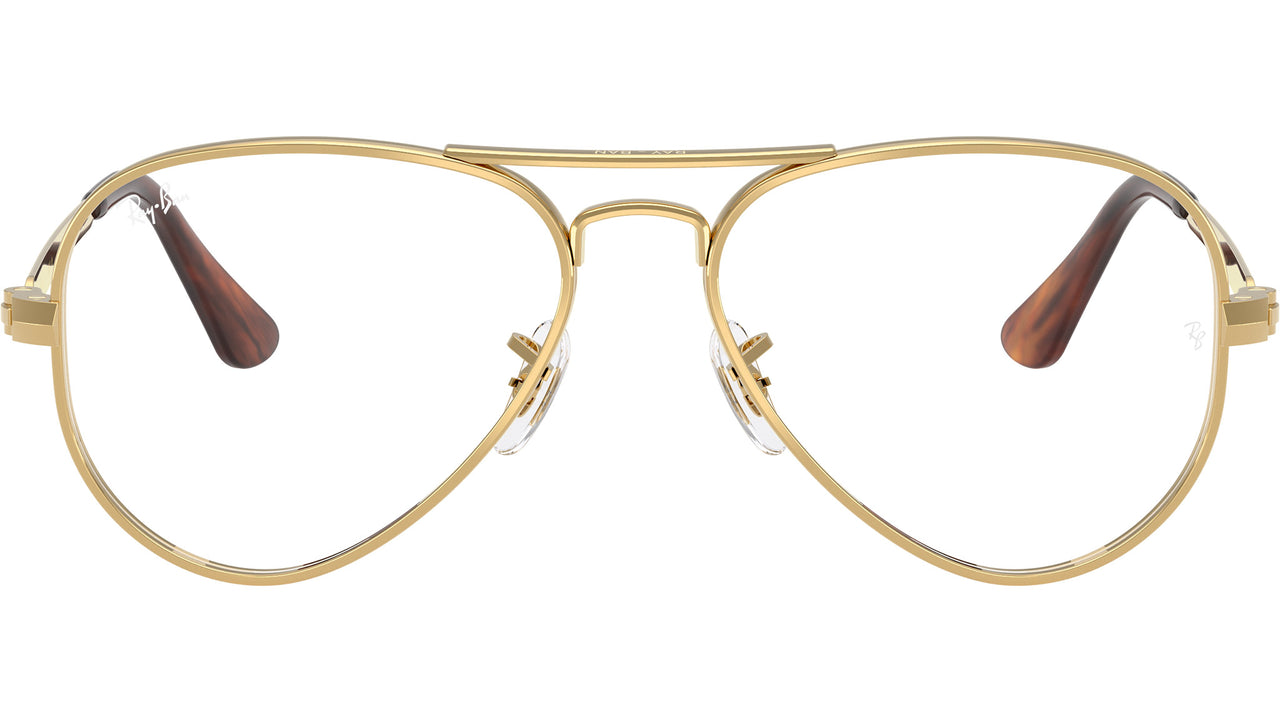 Aviator Max Optics RB3925V 2500