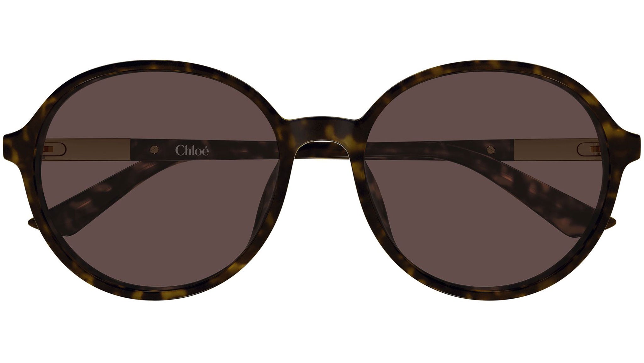 Buy Chloé sunglasses & glasses online - shipped worldwide - eye-oo.com