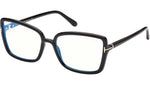 FT5813-B 001