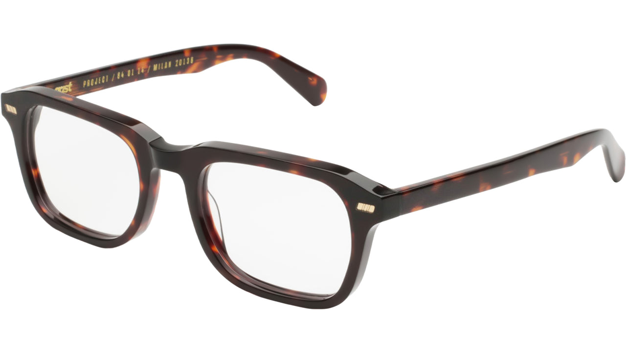 SEGNO Tortoise