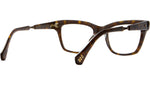Lolita C Tortoise