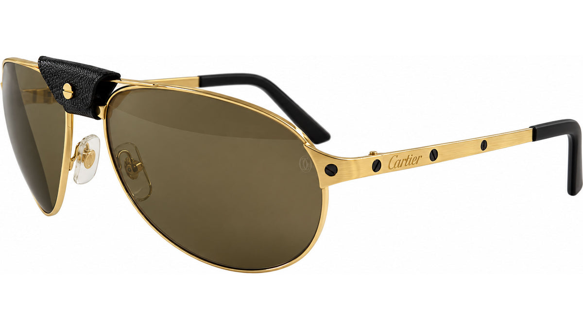 Cartier Santos Dumont Extreme