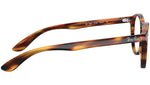 RB5283 striped havana