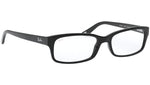 RB5187 shiny black