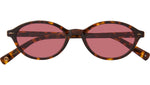 Feliz Sun Marigold Tortoise