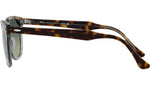 Eagleeye RB2398 1376BH tortoise