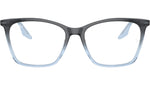 RB5422 Optics 8309