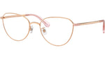 SK1029D 4014