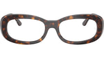 RB2221V Optics 2012