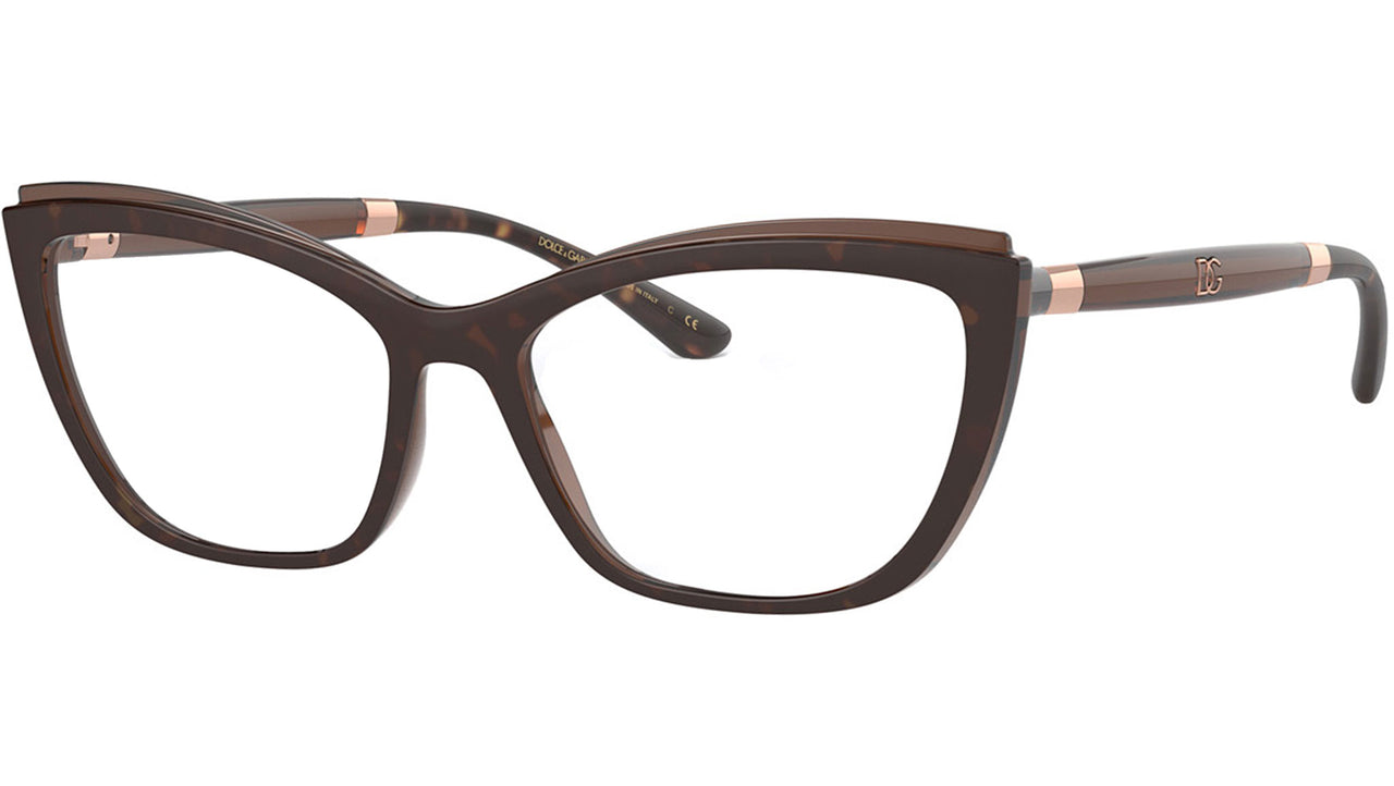 DG 5054 3185 tortoise