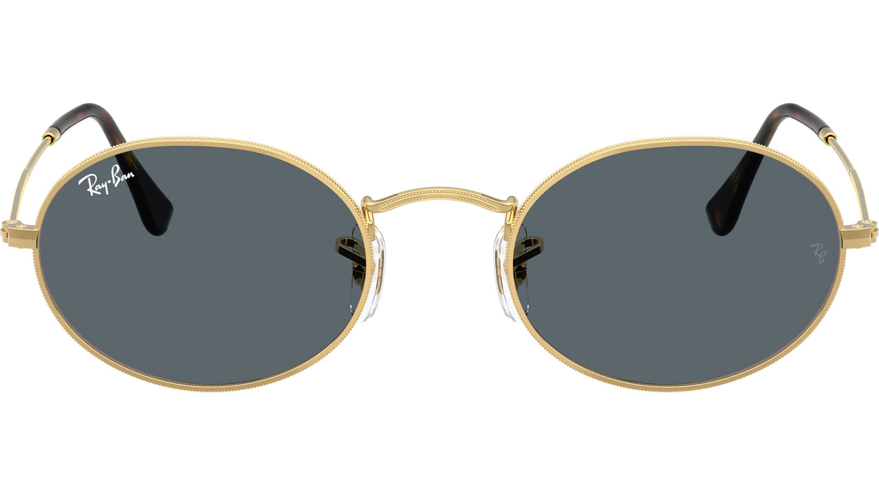 Oval Flat Lenses RB3547N 001/R5
