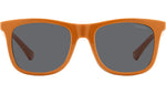 PLD 8055/CS L9G M9