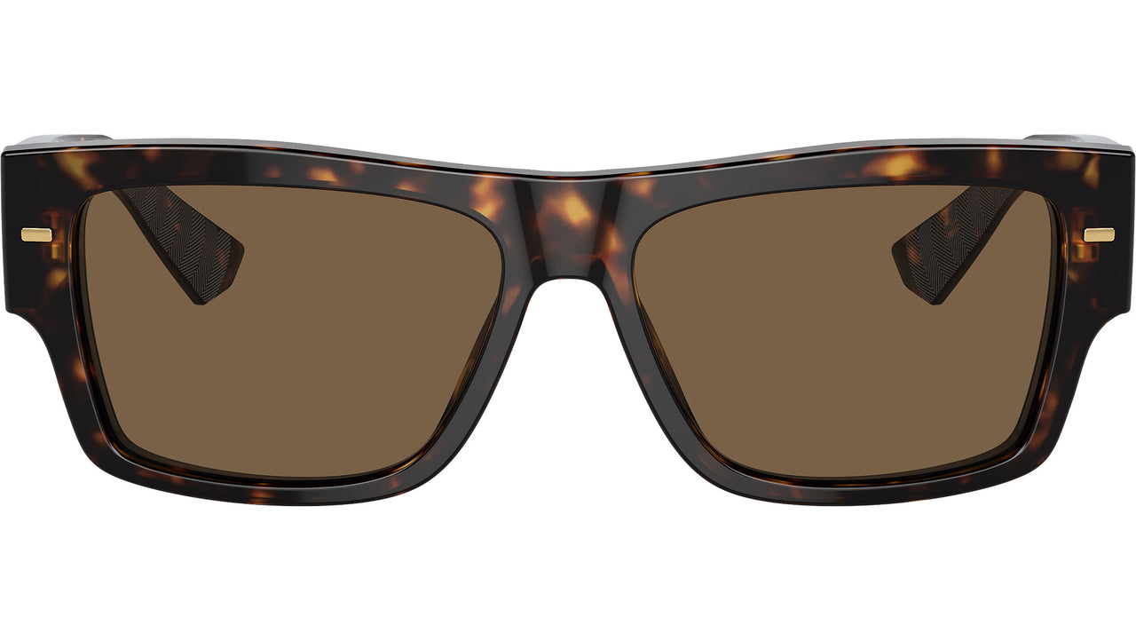 DG 4451 502/73 Tortoise Brown