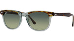 Eagleeye RB2398 1376BH tortoise