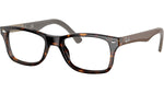 RB5228 Optics 5545