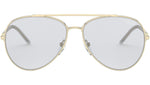 PR 66XS ZVN07D pale gold