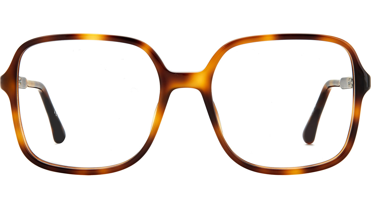 IM 0063 086 Tortoise