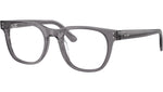 RB5461D Optics 8268
