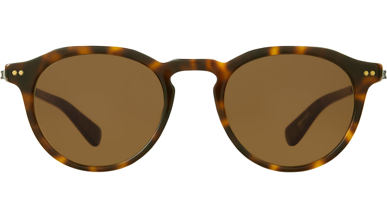 Dorian S Hickory Tortoise
